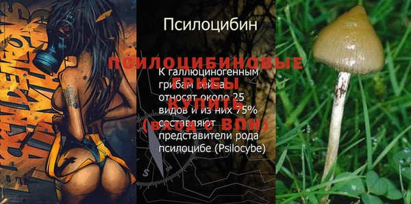 ПСИЛОЦИБИНОВЫЕ ГРИБЫ Балабаново
