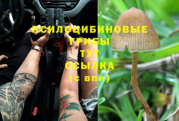 спайс Белокуриха