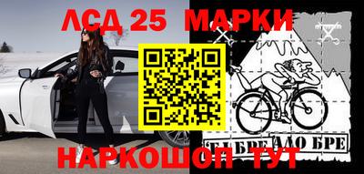 прущие грибы Пенза