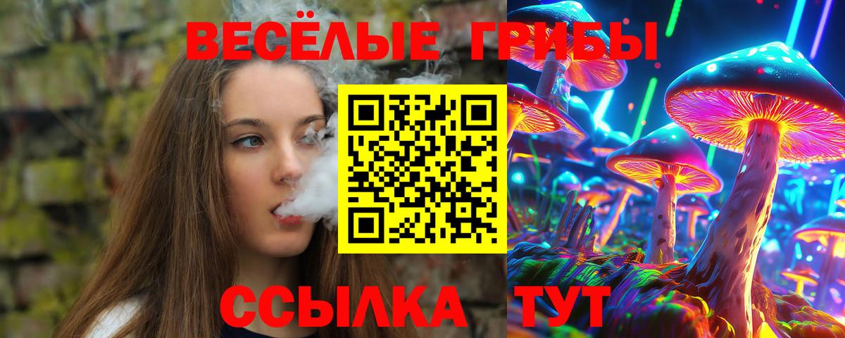 Галлюциногенные грибы MAGIC MUSHROOMS Биробиджан