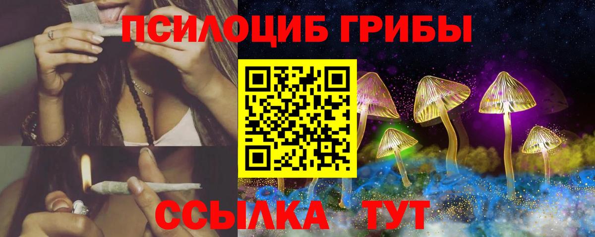 как найти закладки  Галлюциногенные грибы мицелий  Вход с VPN  Биробиджан 
